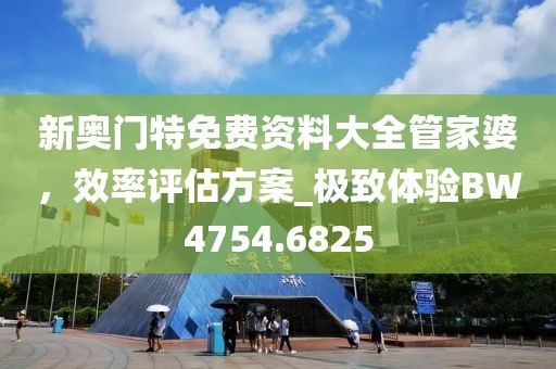 新奥门特免费资料大全管家婆，效率评估方案_极致体验BW4754.6825