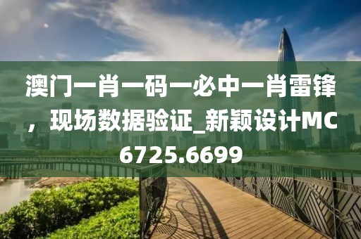 澳门一肖一码一必中一肖雷锋，现场数据验证_新颖设计MC6725.6699
