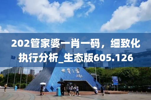 202管家婆一肖一码，细致化执行分析_生态版605.126