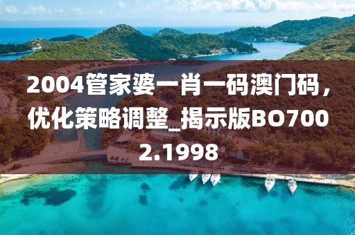 2004管家婆一肖一码澳门码，优化策略调整_揭示版BO7002.1998