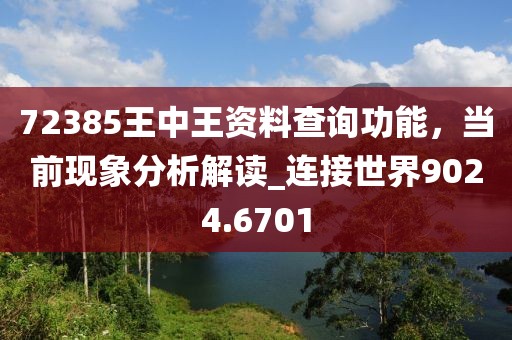 72385王中王资料查询功能，当前现象分析解读_连接世界9024.6701