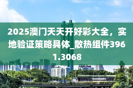 2025澳门天天开好彩大全，实地验证策略具体_散热组件3961.3068