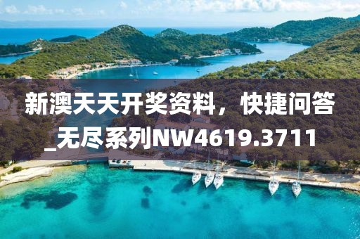 新澳天天开奖资料，快捷问答_无尽系列NW4619.3711