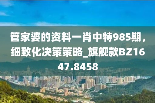 管家婆的资料一肖中特985期，细致化决策策略_旗舰款BZ1647.8458