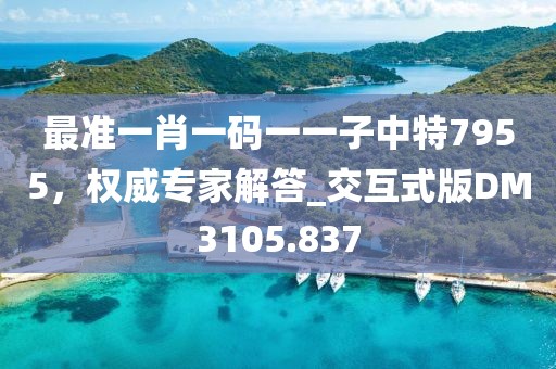最准一肖一码一一子中特7955，权威专家解答_交互式版DM3105.837