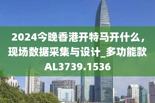 2024今晚香港开特马开什么，现场数据采集与设计_多功能款AL3739.1536