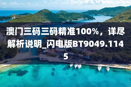 澳门三码三码精准100%，详尽解析说明_闪电版BT9049.1145