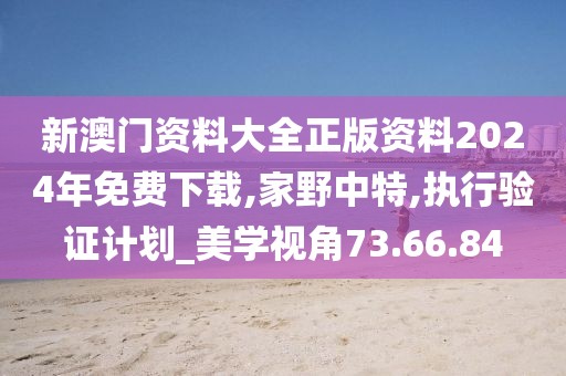 新澳门资料大全正版资料2024年免费下载,家野中特,执行验证计划_美学视角73.66.84