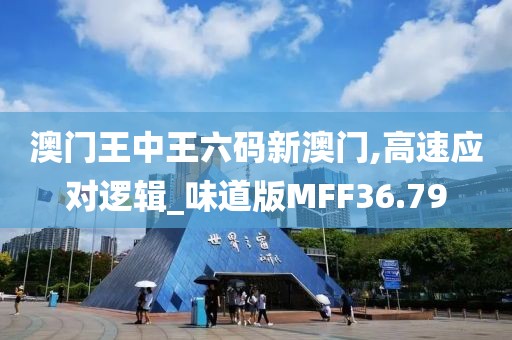 澳门王中王六码新澳门,高速应对逻辑_味道版MFF36.79