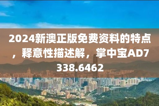 2024新澳正版免费资料的特点，释意性描述解，掌中宝AD7338.6462