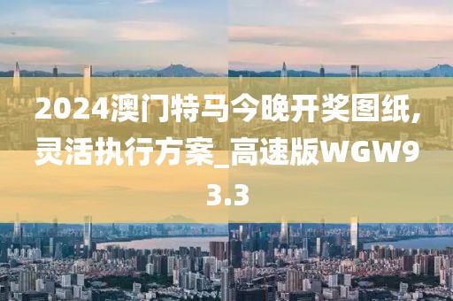 2024澳门特马今晚开奖图纸,灵活执行方案_高速版WGW93.3