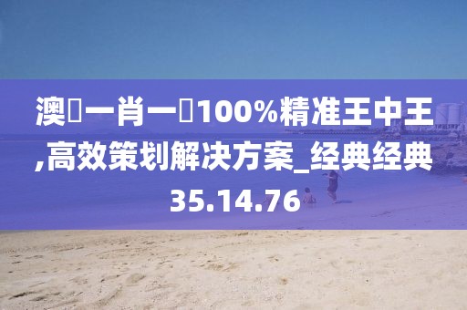 澳門一肖一碼100%精准王中王,高效策划解决方案_经典经典35.14.76