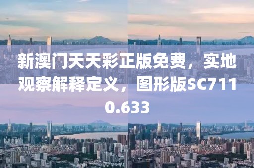 新澳门天天彩正版免费，实地观察解释定义，图形版SC7110.633