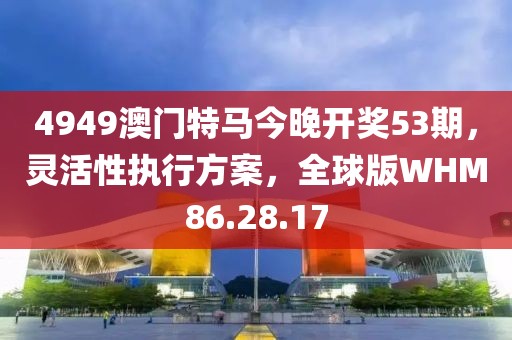 4949澳门特马今晚开奖53期，灵活性执行方案，全球版WHM86.28.17
